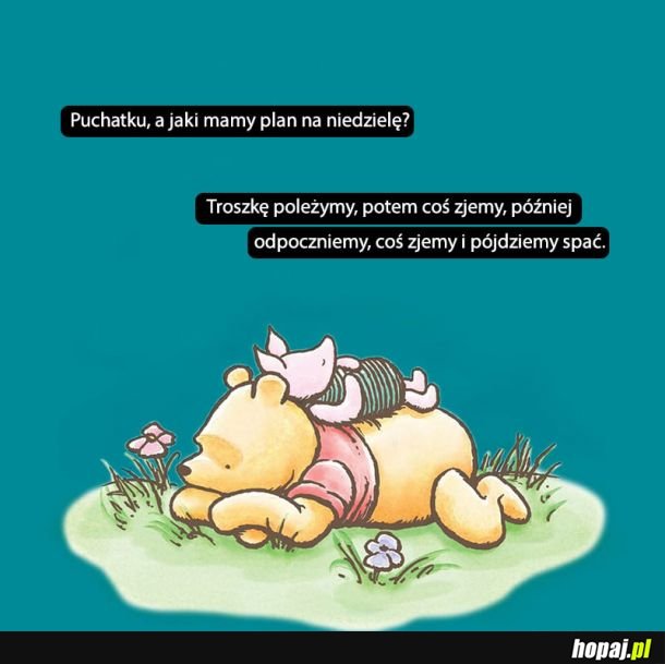 Idealny plan na niedzielę