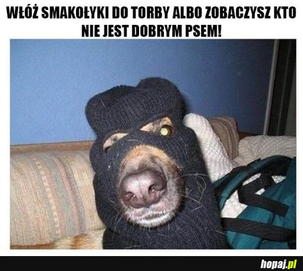 TO NAPAD!