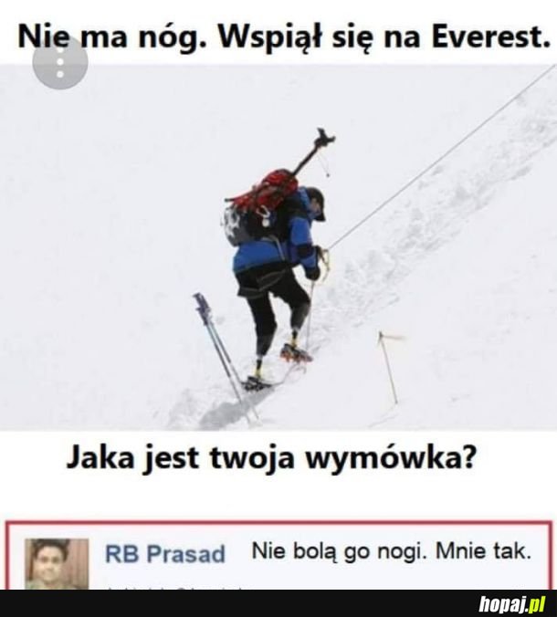 Wymówka