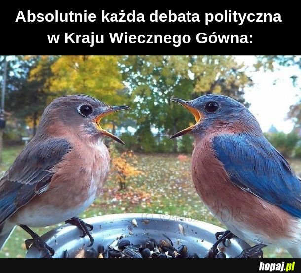  Politycy są mniej uroczy 