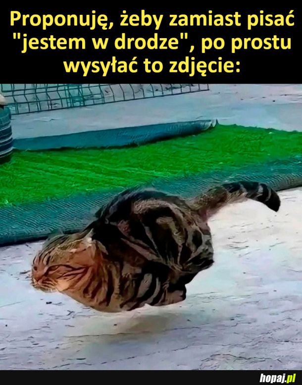 Mam dla was taką propozycję