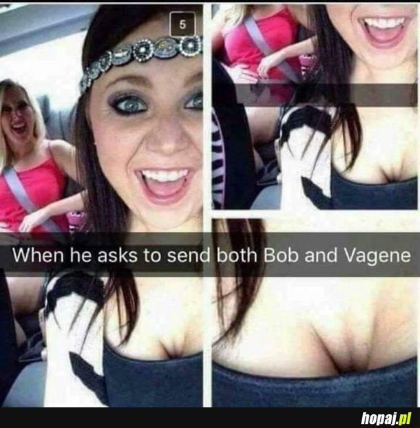 Show bob and vegana