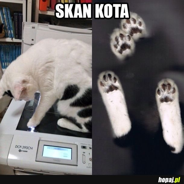 Skan kota 