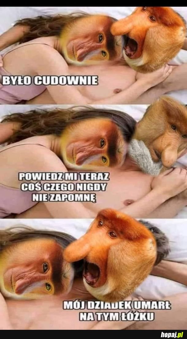 Romantyczny Janusz