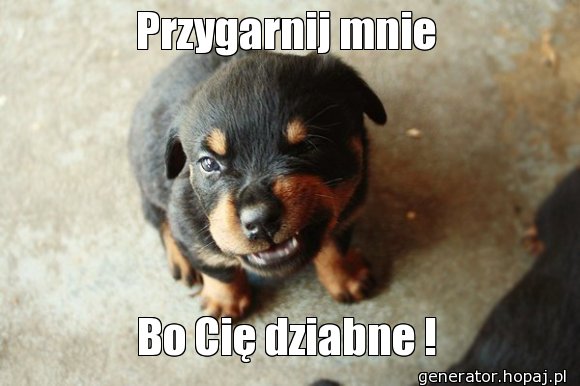 Przygarnij mnie