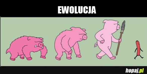 Czarny humor