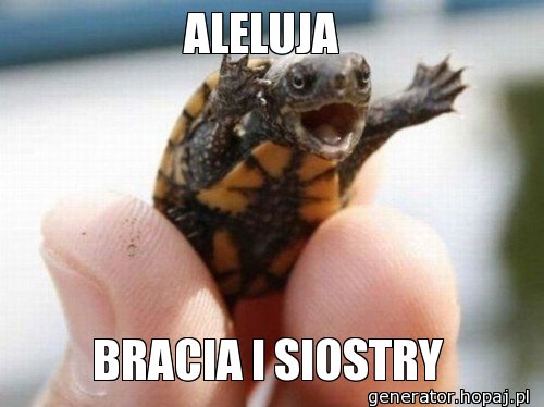 ALELUJA 