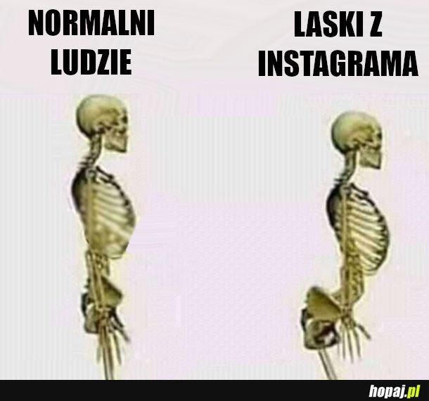  lordoza