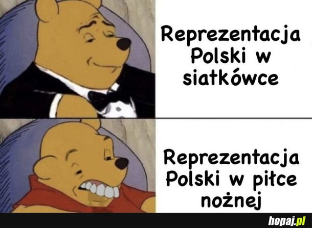 Polska siatkówka i piłka nożna