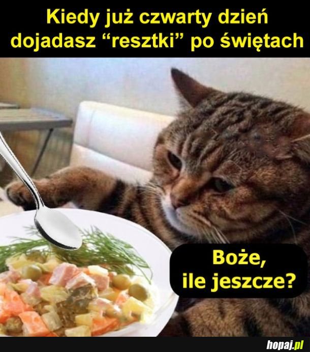 Resztki