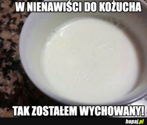 Kożuch