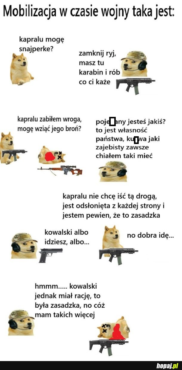 Mobilizacja