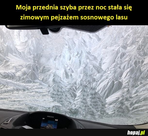 Natura jest niesamowita