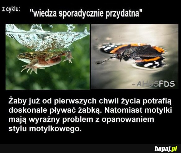 CIEKAWOSTKA NA DZIŚ: