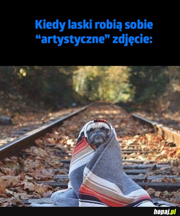 KIEDY LASKA ROBI