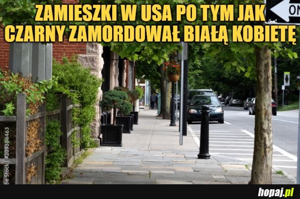 Zamieszki.