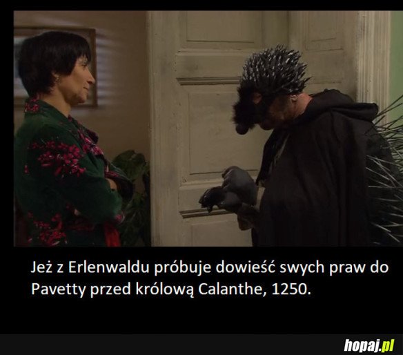 DUNY W MORDĘ JEŻA Z ERLENWALDU