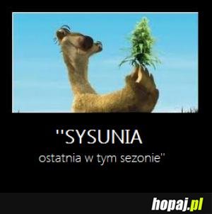 Sysunia!