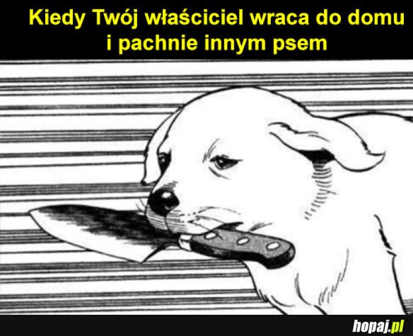 Jak mogłeś?