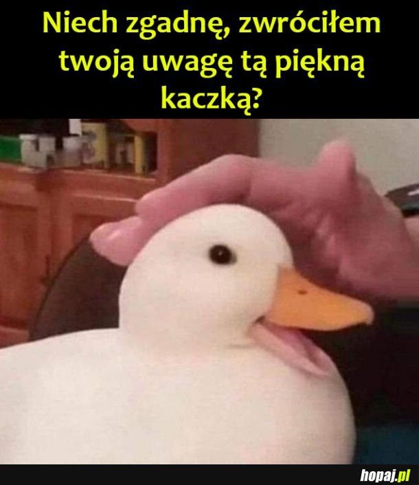 Piękna jest