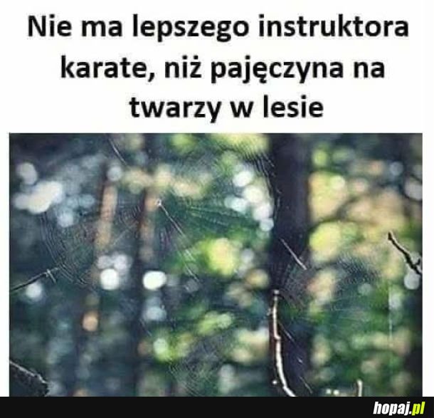 Instruktor