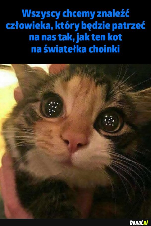 WSZYSCY CHCEMY