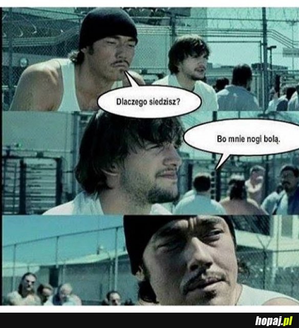 To ma sens