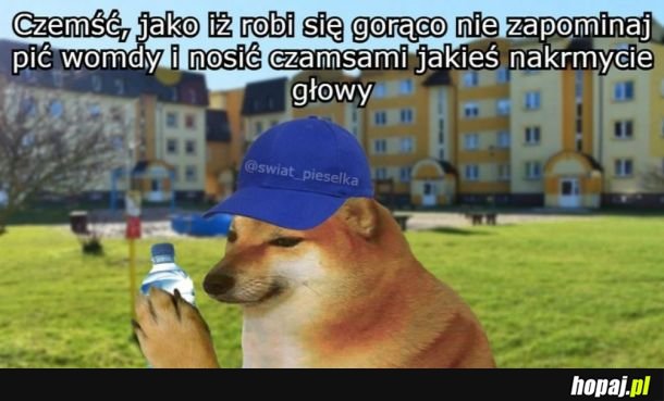 Pamiętajcie o tym ;-)