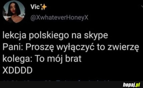 Lekcja polskiego
