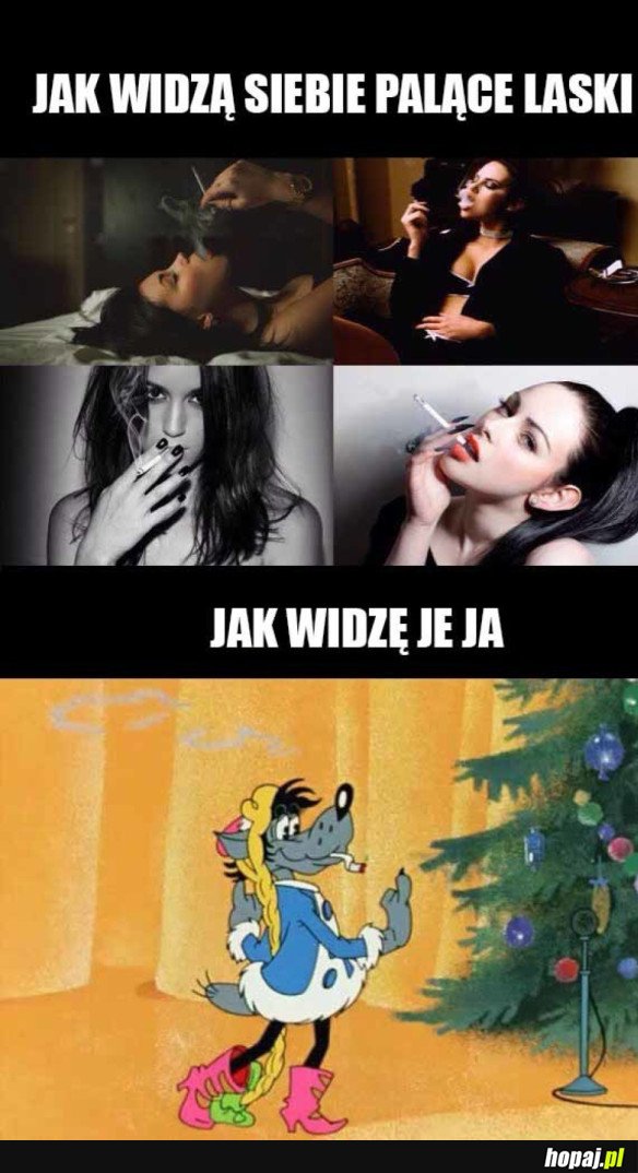 WILK I ZAJĄC