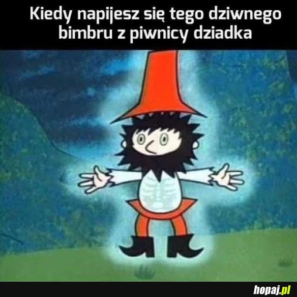ALE FAZA