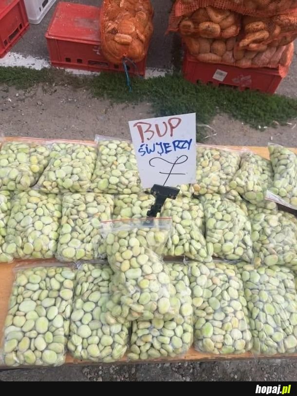 Bup śwjerzy