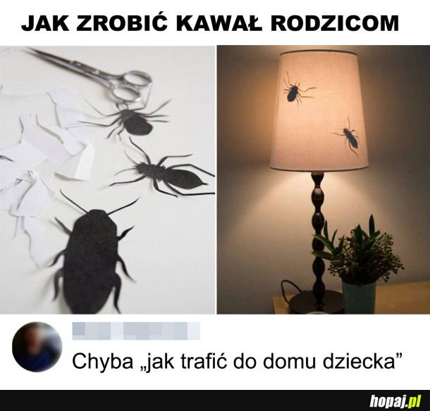  Jak trafić do domu dziecka