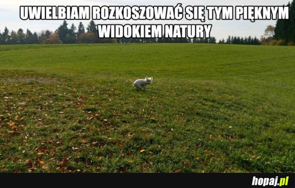 NATURA JEST PIĘKNA