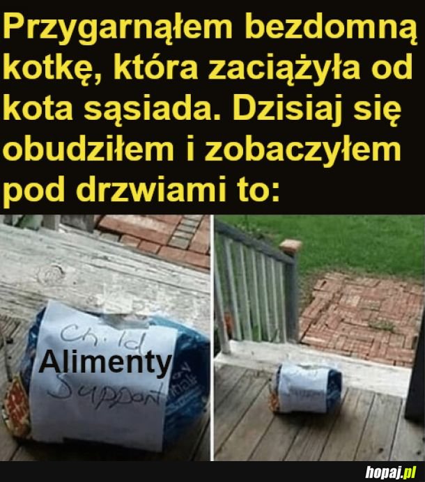 Alimenty xd