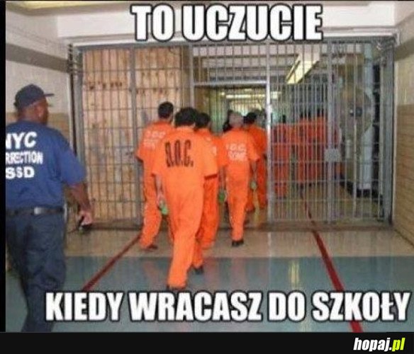 POWRÓT DO SZKOŁY