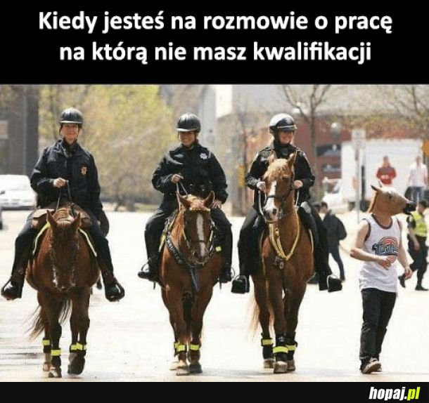 Rozmowa o pracę