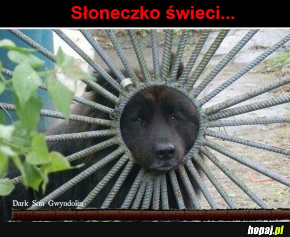 PIĘKNE SŁOŃCE 