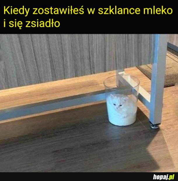 Tylko nie to!