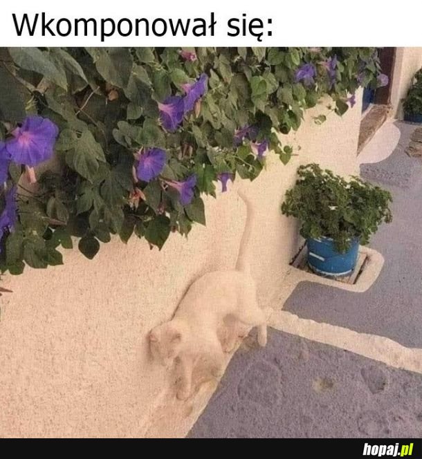 Kamuflaż