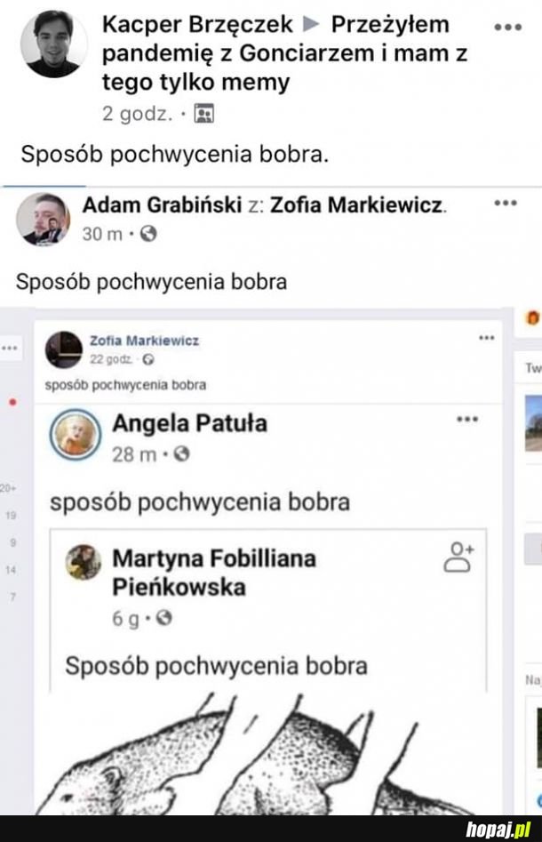 Sposób na pochwycenie bobra