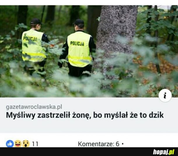 No i się zaczyna