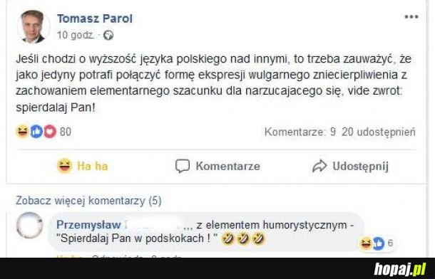 Ogrom możliwości