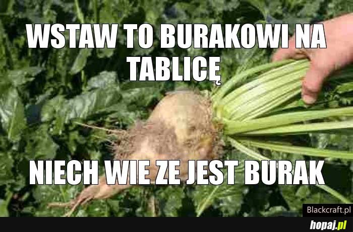 Wstaw to burakowi