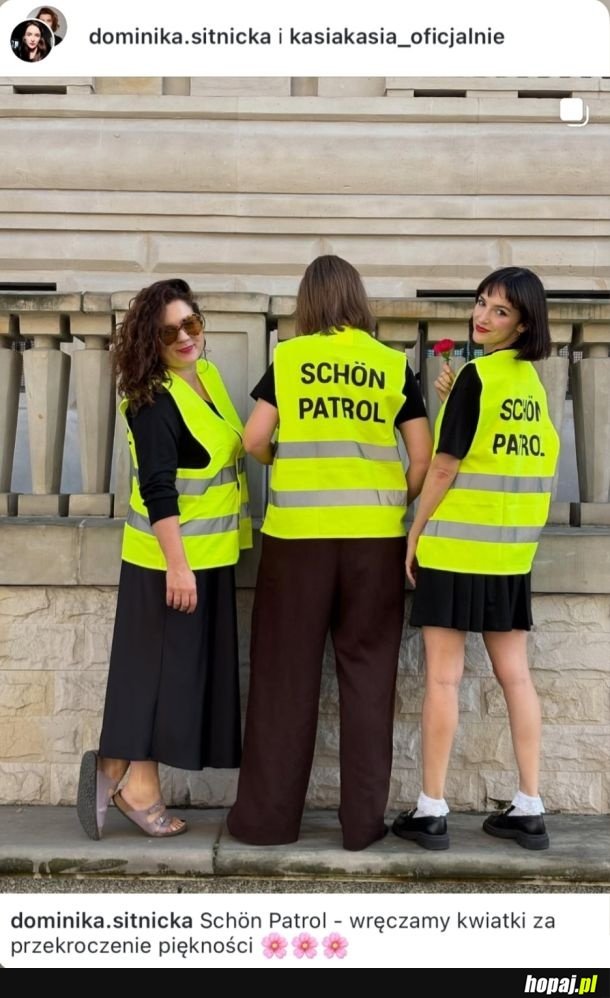 Schön Patrol