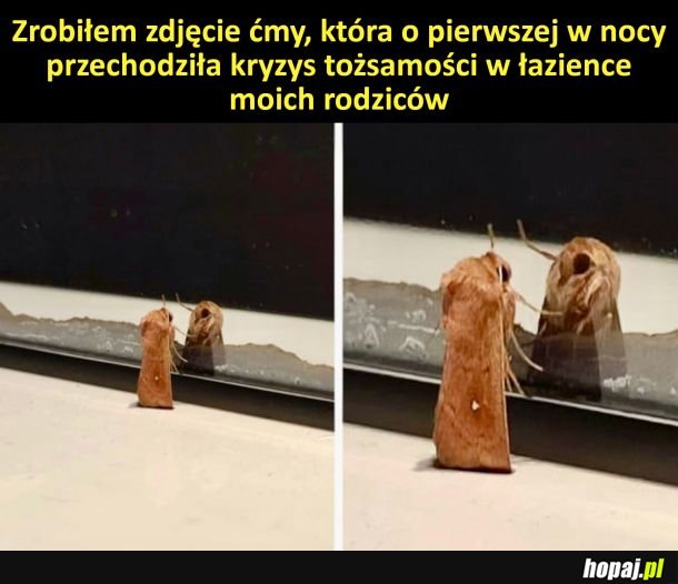 Kryzys tożsamości