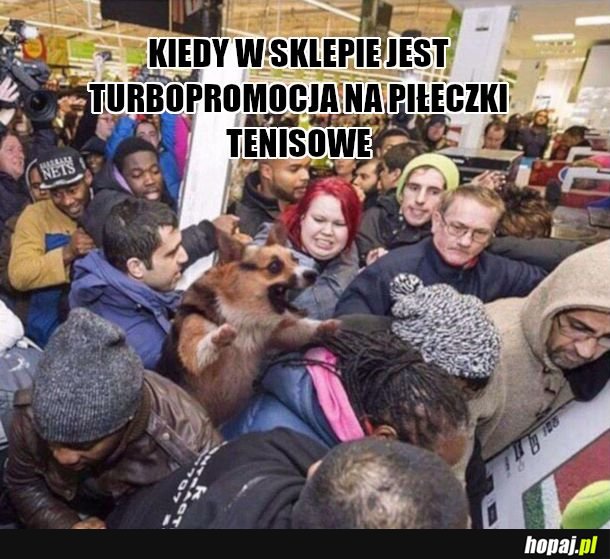 Taniooo 