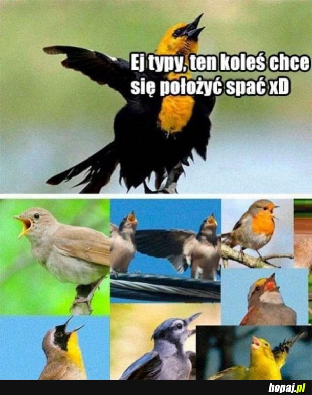 Jak żyć