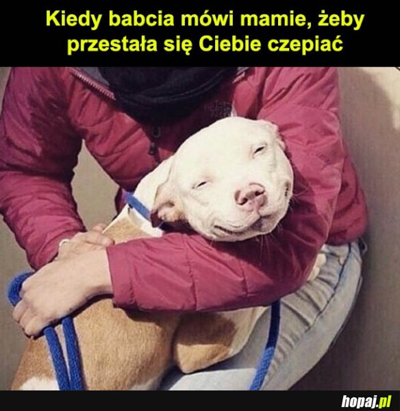 Kochana babcia