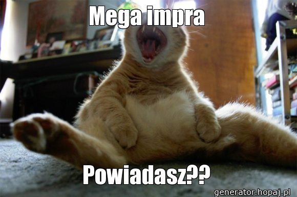 Mega impra